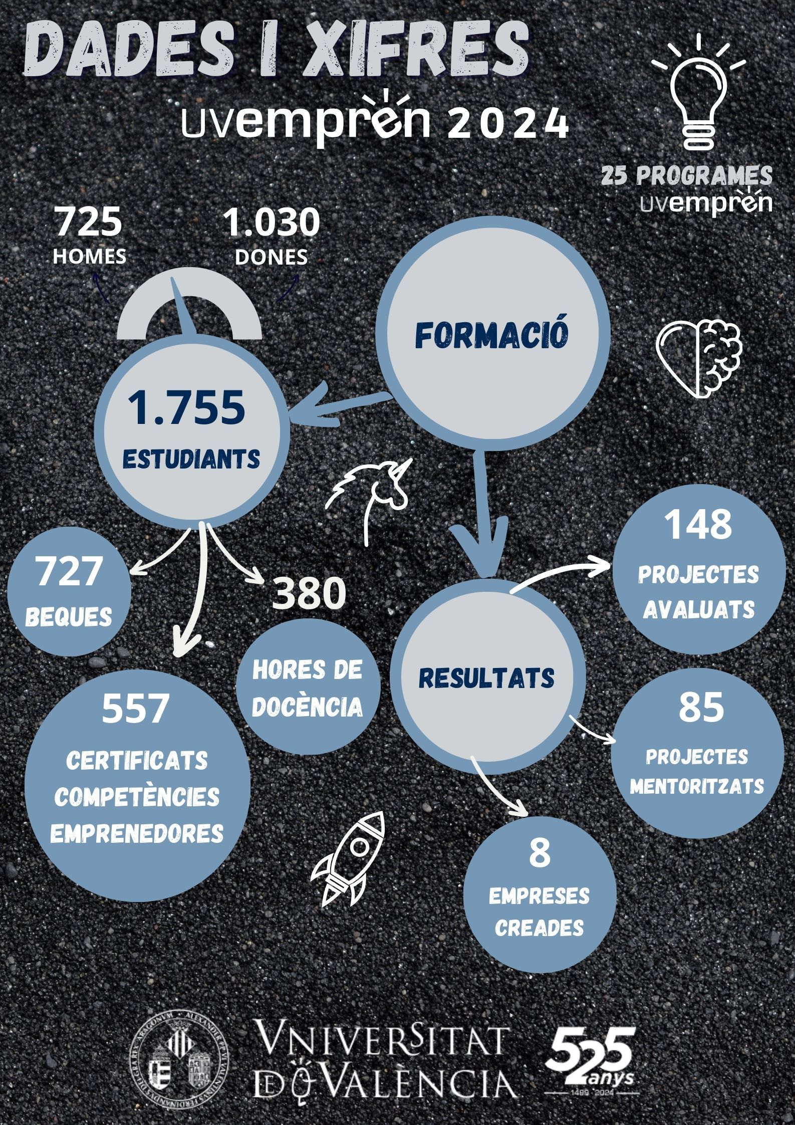 Dades i Xifres 2024