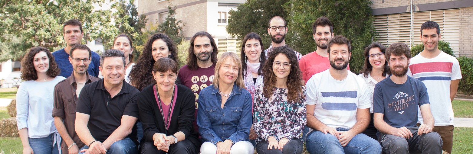 L’equip d’Isabel Fariñas a la Universitat de València