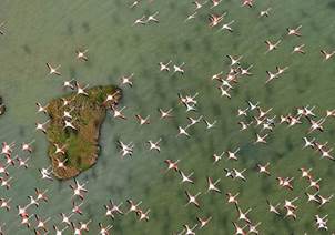 image031.jpg@01DCCC1A