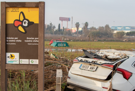 Imagen que contiene pasto, exterior, coche, estacionado

El contenido generado por IA puede ser incorrecto.