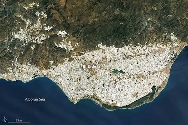 Mapa

El contenido generado por IA puede ser incorrecto.