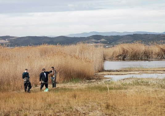 Equip investigador fent estudis de camp en un aiguamoll mediterrani amb vegetaci� palustre i zones inundades.
