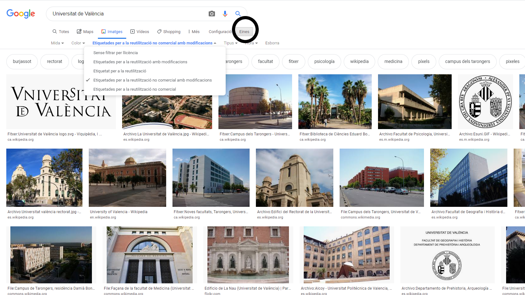Captura de pantalla de Google Imatges