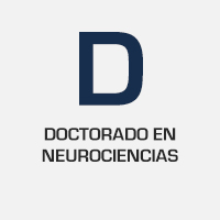 doctorat-neurociencias-es