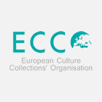 ecco 2
