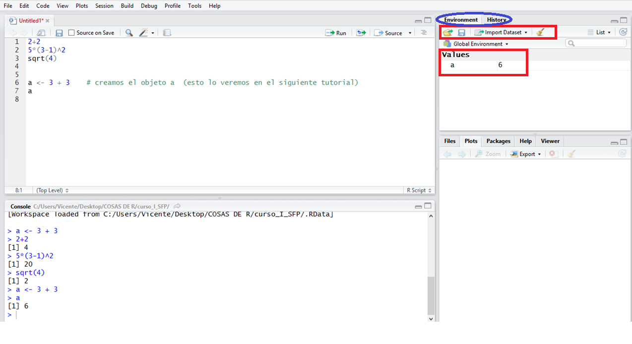 Figura 8. Panel de entorno de RStudio