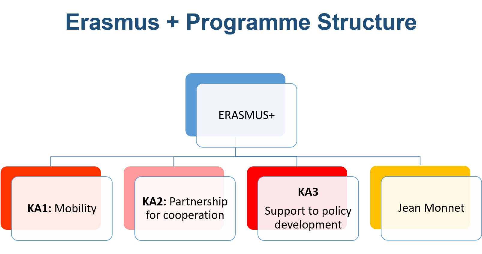 erasmus structure