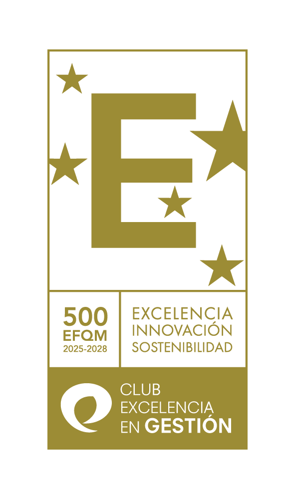 EFQM500