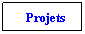 Text Box: Projets