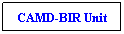 Text Box: CAMD-BIR Unit