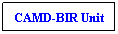 Text Box: CAMD-BIR Unit