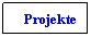 Text Box: Projekte
