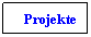 Text Box: Projekte