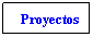 Text Box: Proyectos

