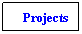 Text Box: Projects

