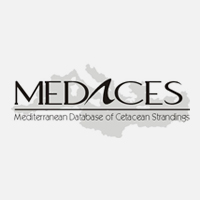 medaces