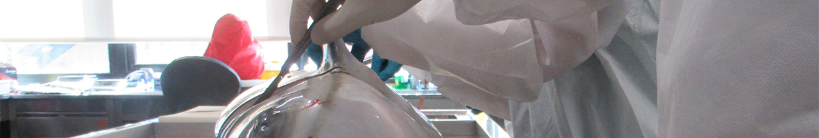 laboratori