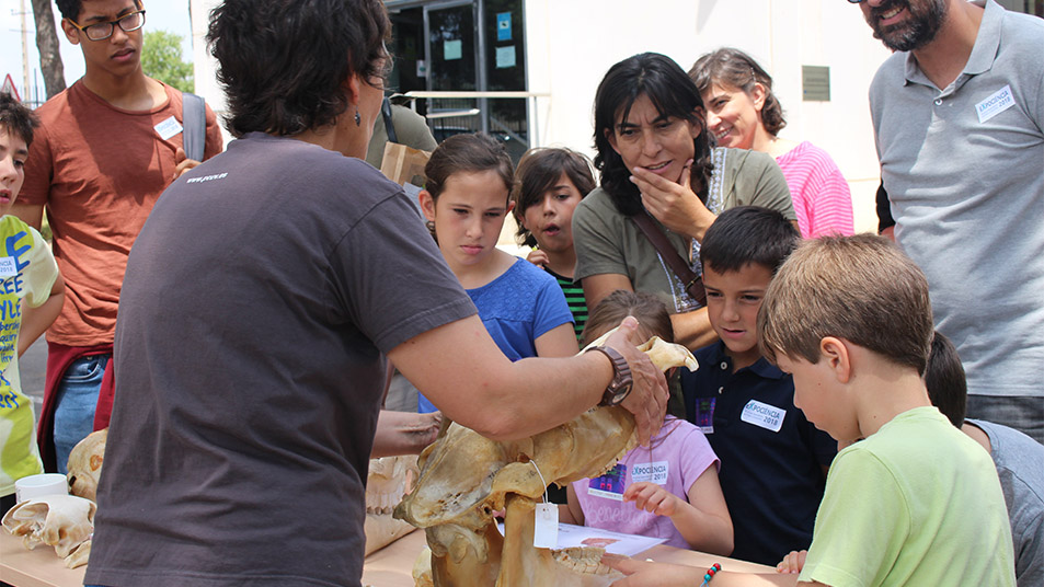 Persones assistint a un esdeveniment