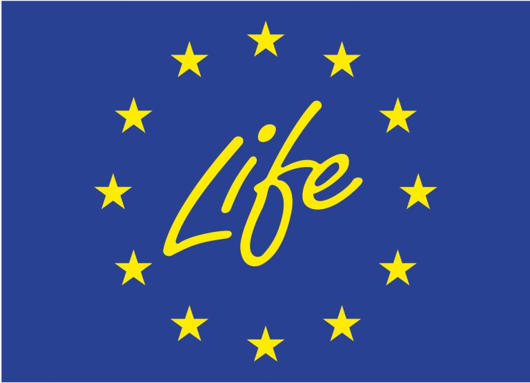life ue