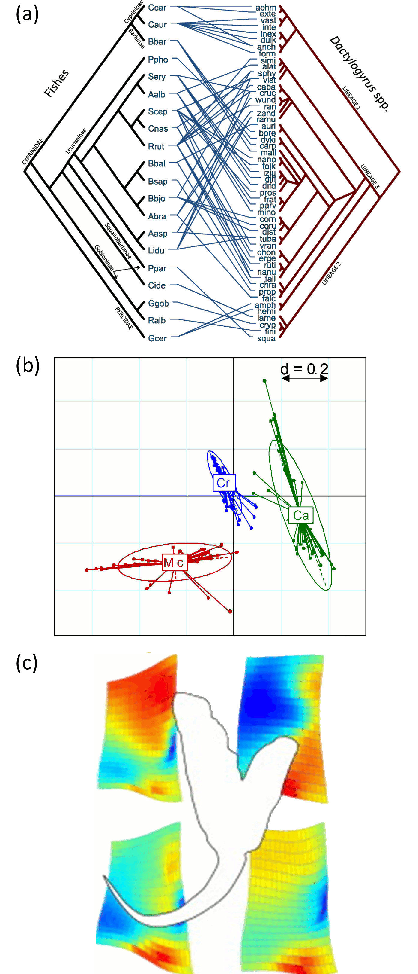 research areas