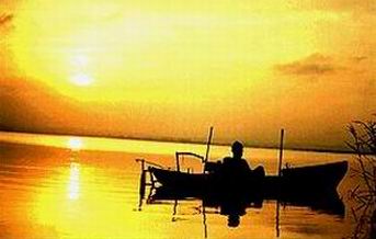 La Albufera