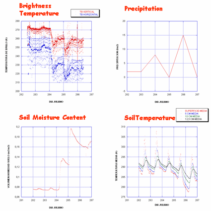 SMOS_MELBEX_10-14Oct2005.gif