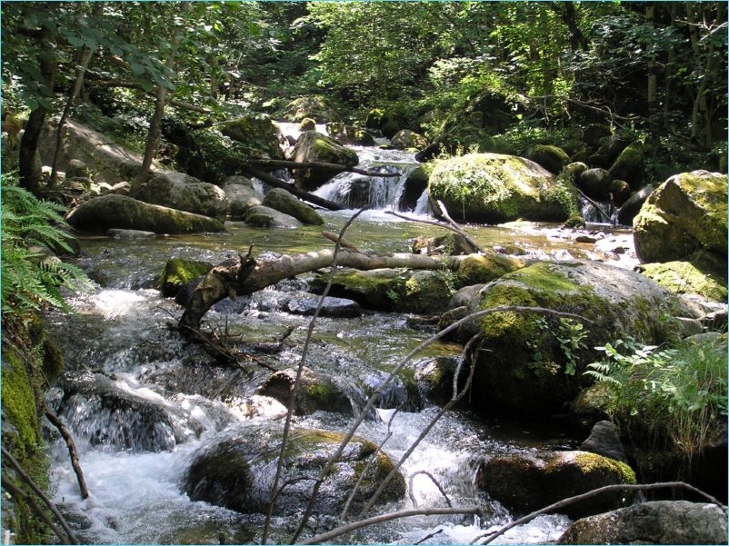 Riu Carana