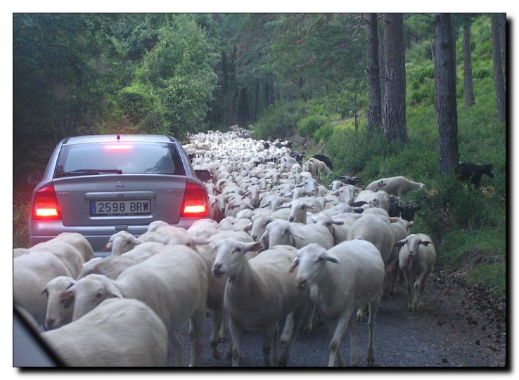 Bajando del refugio