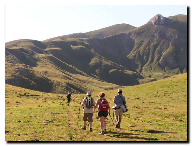 Camino del Bisaurn