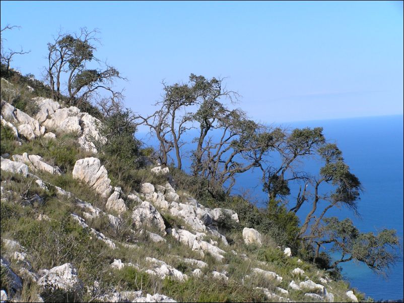 P1290099