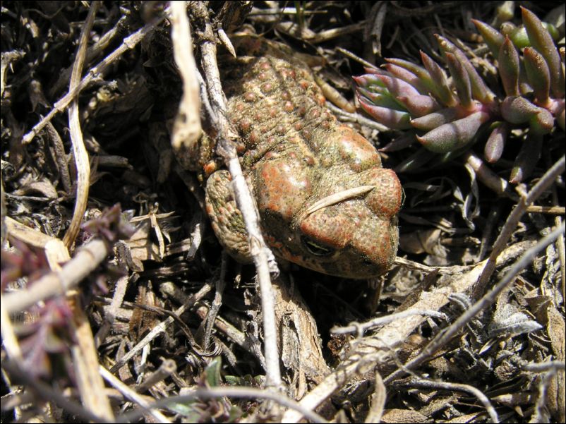 P3120044