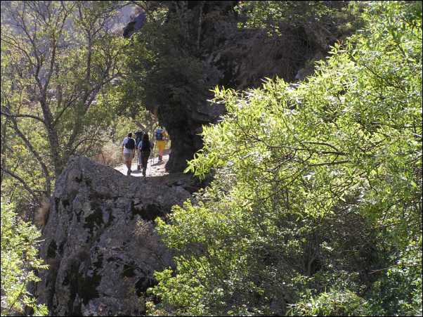 Vereda de la Estrella