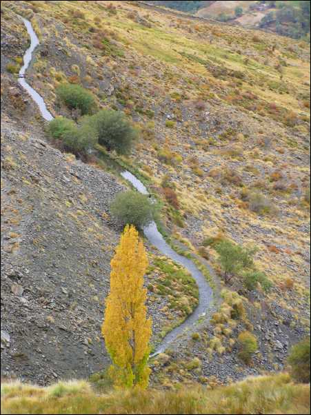 Acequia alta