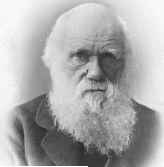 darwin1.jpg (2453 bytes)