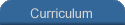 Curriculum