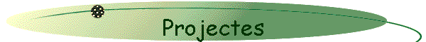 Projectes