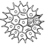 Descripci�n: Descripci�n: escudo