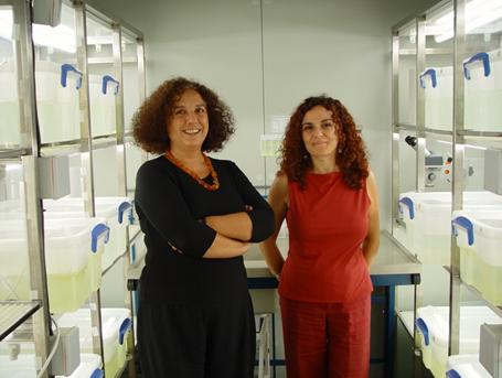 Descripci�n: Descripci�n: Carmen Rojo Y maria Antonia Rodigo