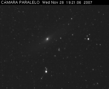 M31