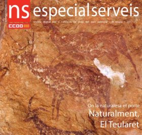 serveisafi2017