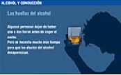 Infografía 10