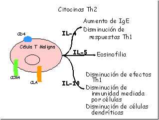 ampliar imatge