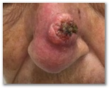 diapositiva4.jpg